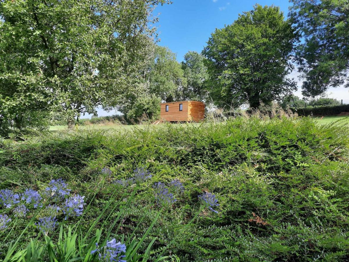 Chalet La Roulotte De Soiron *